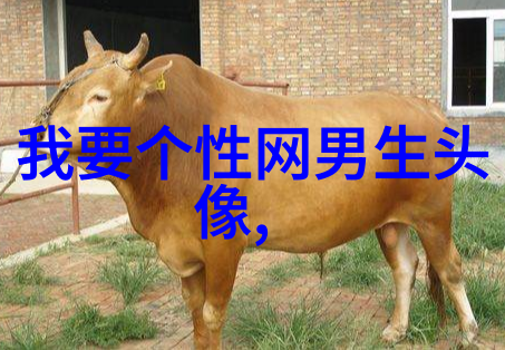 失去了所有就是你得到的时候_QQ男生分组