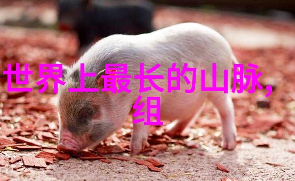 有关读书时的QQ简单分组我想每个人都会上学