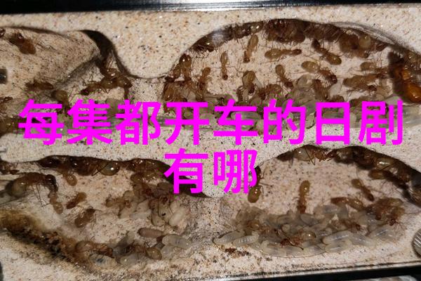 男生QQ分组安之若素半度苍凉