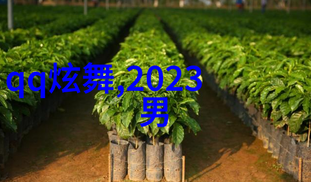 QQ男生分组浅时光淡年华