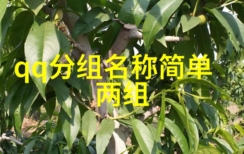 好看的QQ姐妹分组旧时光旧知己